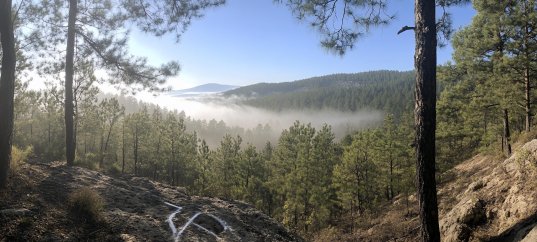 Тест по географии: Сибирь (9 класс)