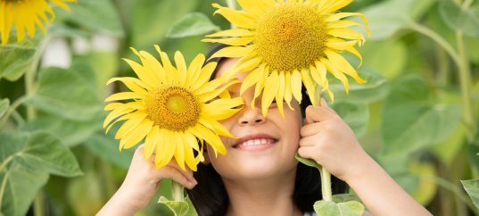 Тест по окружающему миру: Солнце, растения и мы с вами (3 класс)