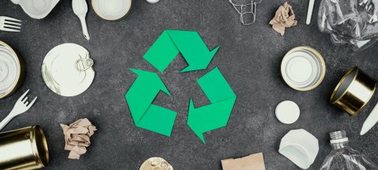 Тест по географии: Энергетическая и сырьевая проблемы. Пути решения проблем (11 класс)