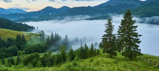 Тест по географии: Природный облик Земли (5-6 класс)