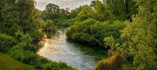 Тест по географии: По каким «правилам» живёт река (5-6 класс)