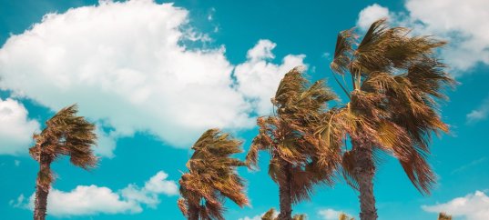 Тест по географии: Ветер (5-6 класс)