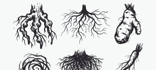 Тест по биологии: Виды корней (5-6 класс)