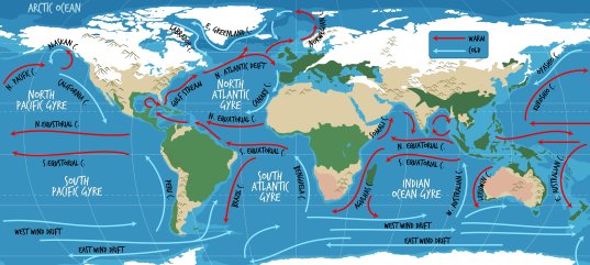 Тест по географии: Географические карты (7 класс)