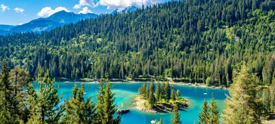 Тест по географии: Сибирь. Освоение территории, население и хозяйство (9 класс)