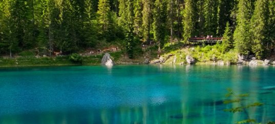 Тест по географии: Какие существуют природные комплексы (5-6 класс)