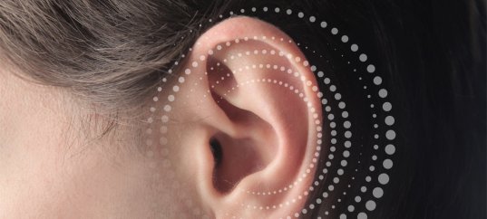 Тест по окружающему миру: Уши — орган слуха (3 класс)