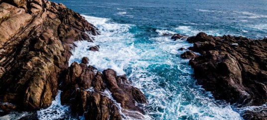 Тест по географии: Каковы особенности природы Атлантического океана (7 класс)