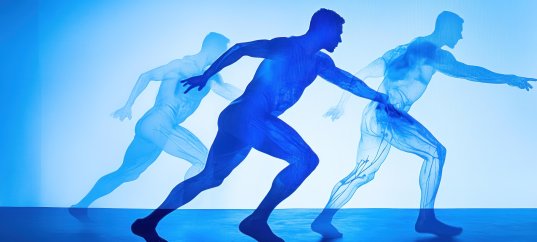 Тест по физкультуре: Твой организм (1-4 класс)