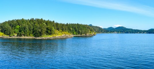 Тест по окружающему миру: Водные богатства нашего края (4 класс)