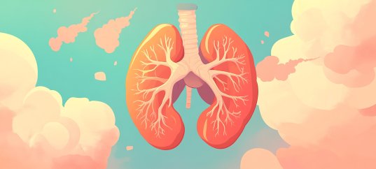 Викторина по физкультуре: Органы дыхания (1-4 класс)