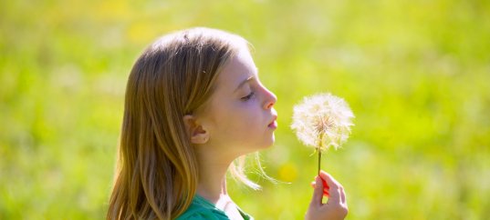 Тест по окружающему миру: Плоды путешествуют (3 класс)