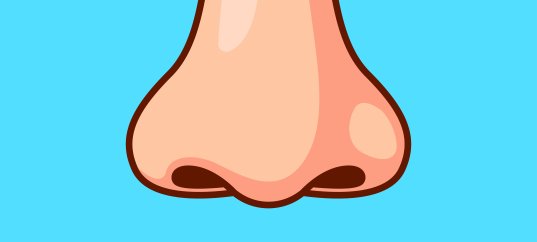 Тест по окружающему миру: Нос — орган обоняния (3 класс)