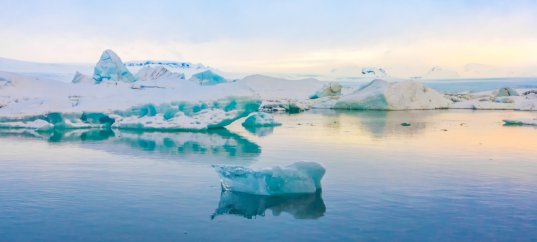 Тест по географии: Российские исследования в Арктике (5-6 класс)