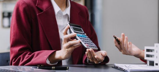 Викторина по обществознанию: Налоги и налоговая система Российской Федерации (10 класс, углублённый уровень)