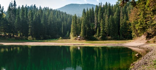 Тест по окружающему миру: Значение водных богатств и их охрана (4 класс)