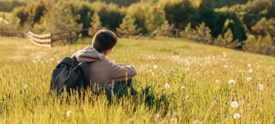 Тест по окружающему миру: Луга и человек (4 класс)