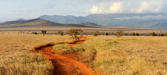 Тест по географии: Южно-Африканская Республика (11 класс)