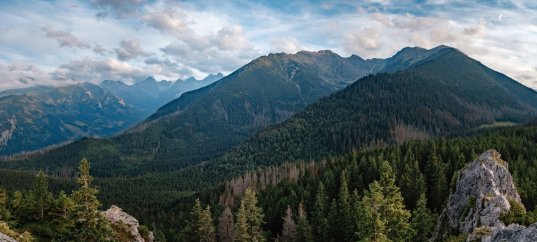 Тест по окружающему миру: Холм и гора (2 класс)