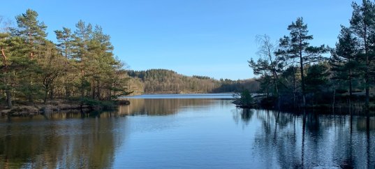 Тест по географии: Где находятся наши озёра и какие они (8 класс)