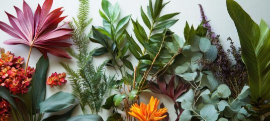 Тест по окружающему миру: Что общего у разных растений? (1 класс)