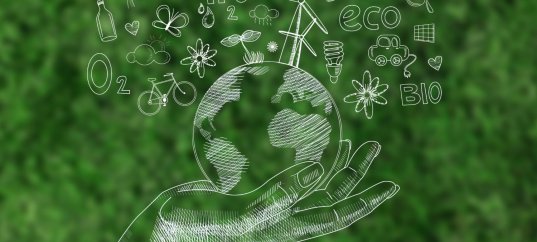 Тест по биологии: Экологические факторы (7 класс)