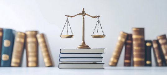 Викторина по обществознанию: Международное право (11 класс, углублённый уровень)