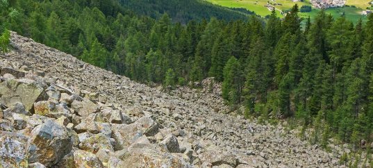 Тест по ОБЖ: Защита от обвалов (7 класс)