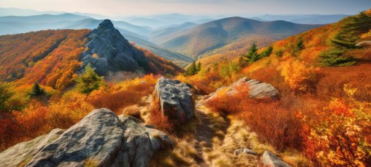 Тест по окружающему миру: Неживая природа осенью (2 класс)