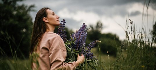 Тест по географии: Как человек изменяет биосферу (5-6 класс)