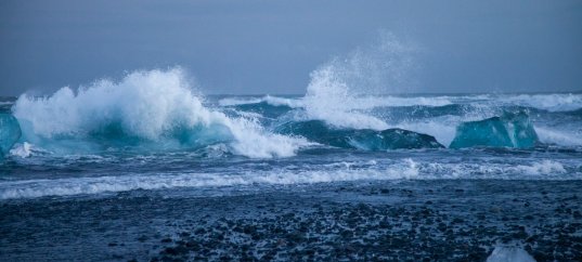 Тест по географии: Муссон (5-6 класс)