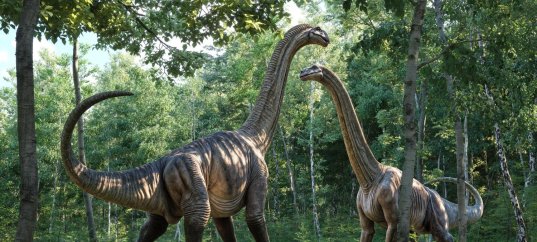 Тест по биологии: Динозавры (11 класс)