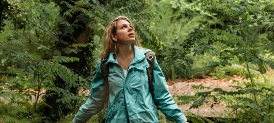 Тест по окружающему миру: Лес и человек (4 класс)