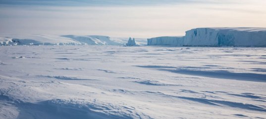 Тест по биологии: Арктическая пустыня (5 класс)