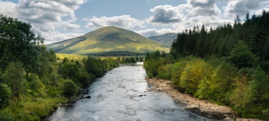 Тест по географии: Как устроены реки (5-6 класс)