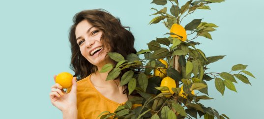 Тест по биологии: Значение растений в жизни человека (6 класс)