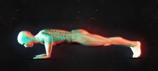 Тест по физкультуре: Мышцы (1-4 класс)