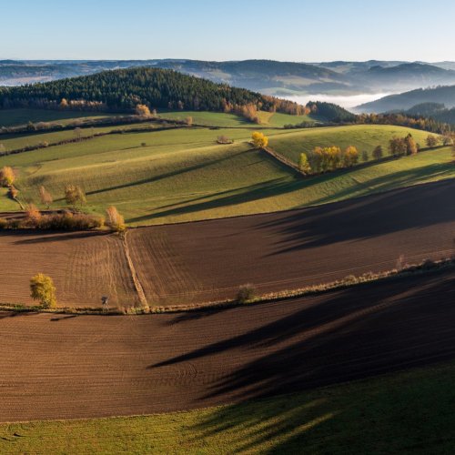 Тест по географии: Земледелие (10 класс)