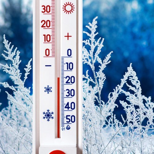 Тест по окружающему миру: Как измерить температуру? (2 класс)