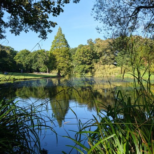 Тест по биологии: Среда обитания (8 класс)