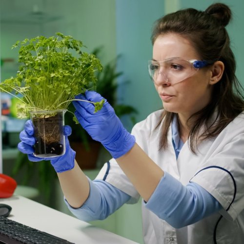 Тест по биологии: Профессии, связанные с биологией (10 класс)