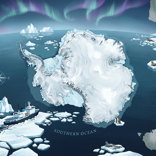 Тест по географии: Каковы особенности географического положения Антарктиды (7 класс)