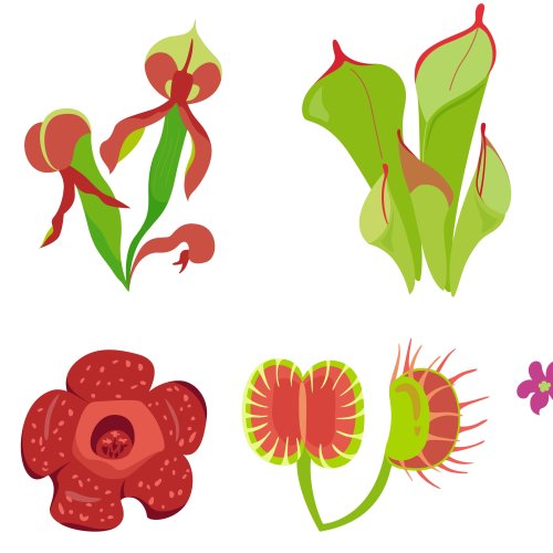 Тест по биологии: Органы растения (6 класс)