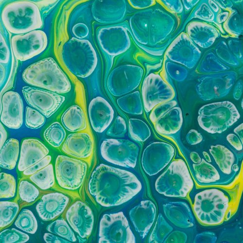 Тест по биологии: Клеточное строение листа (5-6 класс)