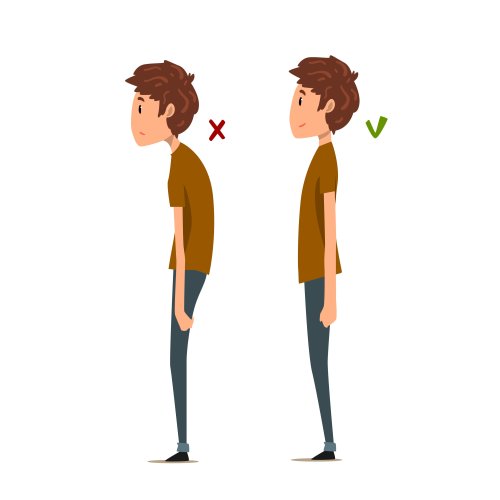 Тест по ОБЖ: Осанка (8 класс)