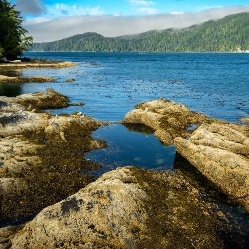 Тест по географии: Какова роль океанов, морей и рек в нашей жизни (5-6 класс)