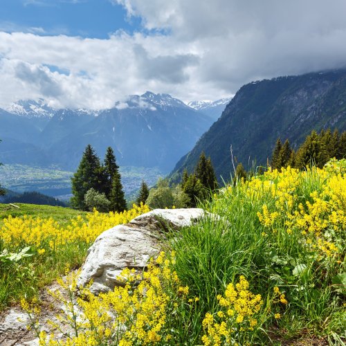 Тест по географии: Природное и культурное наследие (5-6 класс)