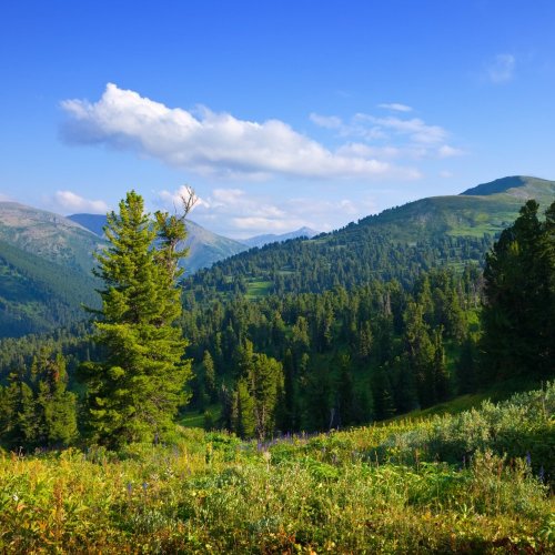 Тест по окружающему миру: Путешествие по Уралу (4 класс)