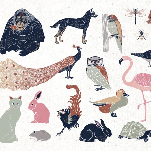 Тест по биологии: Царство Животные (5 класс)