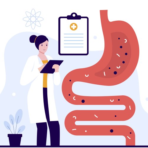 Тест по окружающему миру: Пищеварительная система (3 класс)